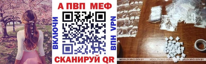 блэк спрут как зайти  Лагань  Альфа ПВП СК 