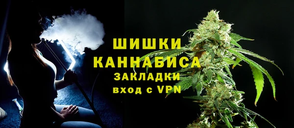 круглые Пересвет
