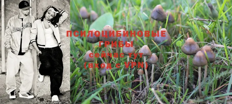 Псилоцибиновые грибы Magic Shrooms  Лагань 