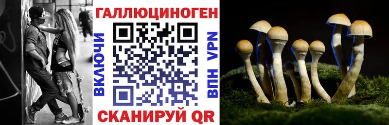 Галлюциногенные грибы мицелий  Лагань 